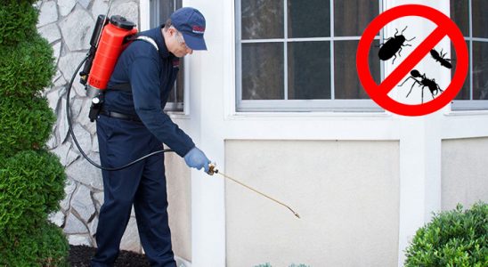 Havsa Kemirgen İlaçlama böcek ilaçlama ve haşere kontrolü — ilaclama-tr.com